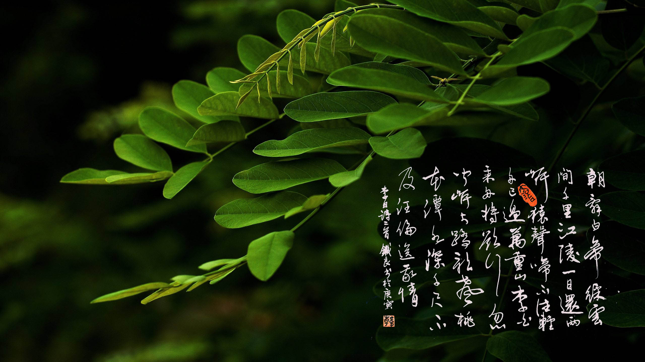 广东省