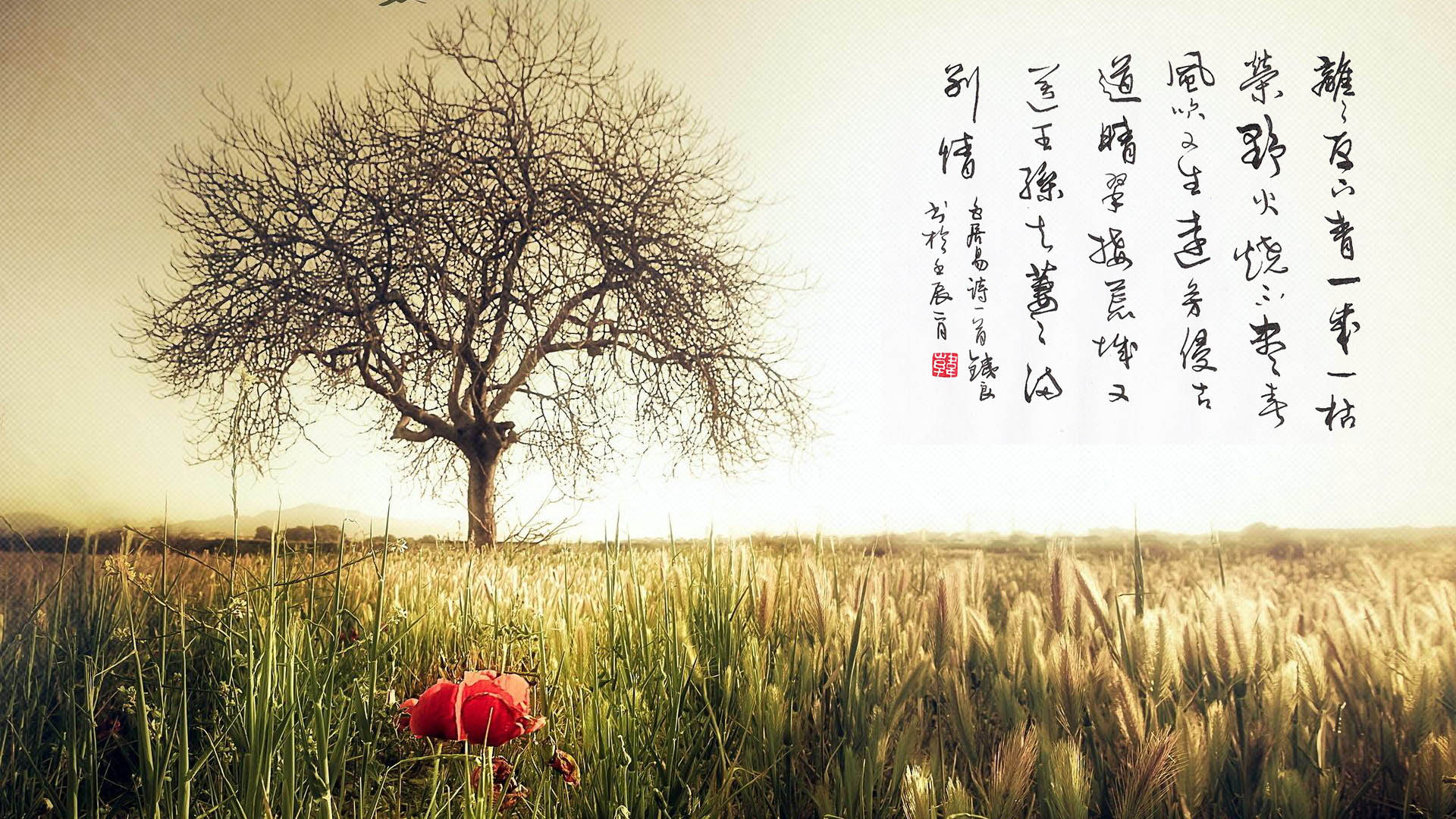 下花园区
