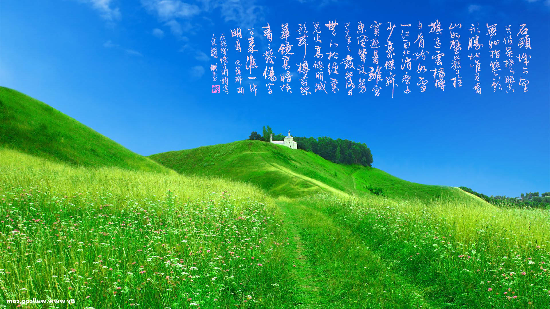 迎接和拥抱AI时代的到来