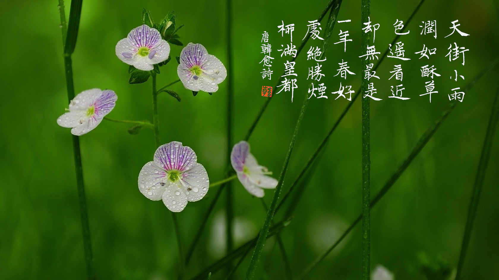 港澳海外华人中，现代黄历作为一门长盛不衰的传统产业的秘密