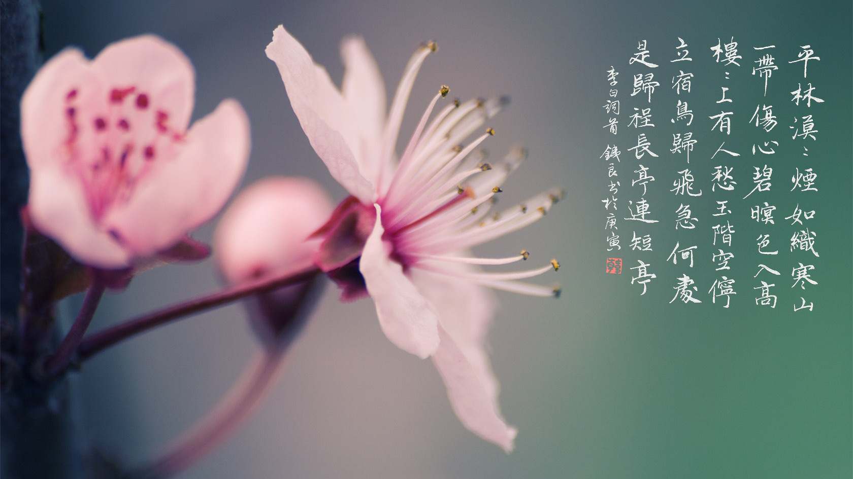 迎接和拥抱AI时代的到来